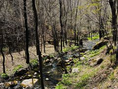 -玉渡山自然风景区