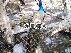 -青青世界