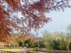 -青岛海滨风景区