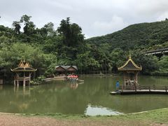 -西双版纳原始森林公园
