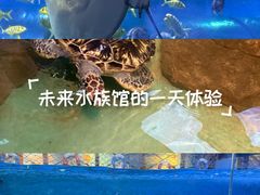 -重庆欢乐海底世界