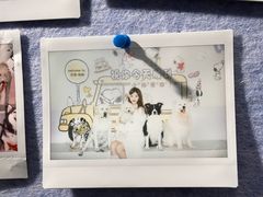 -汪说·狗咖·拼豆·宠物周边DIY(旺城大厦店)