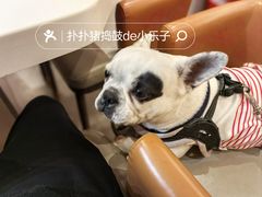 -新一番回转寿司(泊富ICITY店)