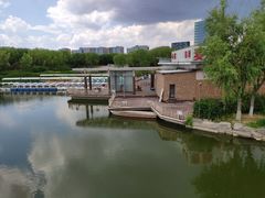 -大兴滨河森林公园