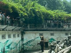 -成都动物园