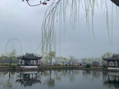 -无锡蠡湖国家湿地公园-蠡园