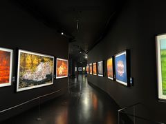 -罗红摄影艺术馆