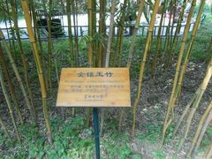 -紫竹院公园冰场