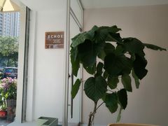 -echoes coffee回响咖啡(红山店)