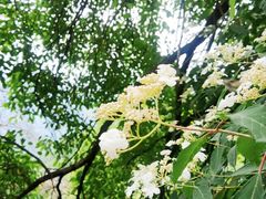 -西安祥峪森林公园
