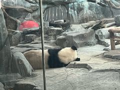 -武汉动物园
