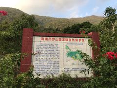 -海南热带雨林国家公园吊罗山景区