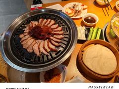 -守柴炉烤鸭(鱼嘴店)