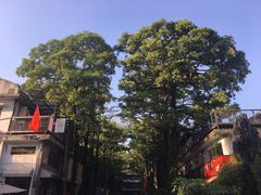 -官塘牛同志牛肉火锅