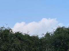 -厦门园林博览苑