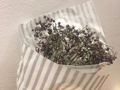 -PETIT PARIS 小巴黎(花园道店)