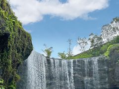-新加坡飞禽公园