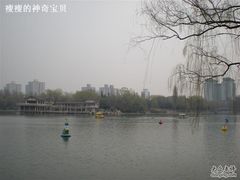 -紫竹院公园冰场