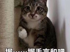 -万达影城(大明宫万达广场IMAX店)