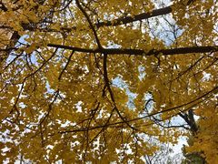 -Rabbit Cafe私房西餐甜点咖啡(栖霞路店)