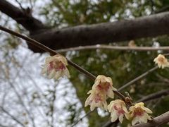 -恭王府博物馆