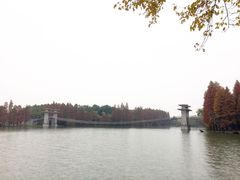 -东湖落雁景区