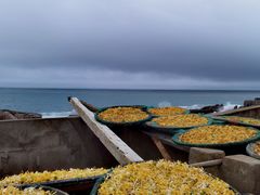 -东极岛景区-东海第一哨灯塔