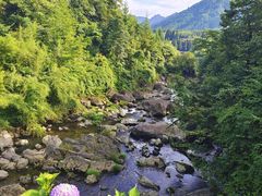 -龙苍沟森林公园