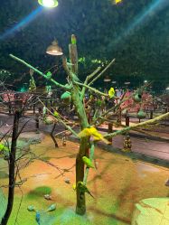 -酷嗒动物文化乐园(cutezoo西溪乐天城店)