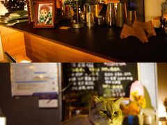 -故遥酒馆.赛事直播