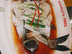 翘嘴白鱼-丹江渔村(望京店)