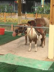 -萌宠亲子动物乐园(槐房万达店)