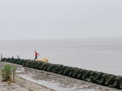 -南汇嘴观海公园