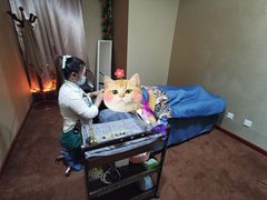 -焕醒·川派采耳(云街店)