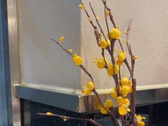 -玉林烤鸭店(小西天店)