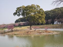 -无锡梅园公园