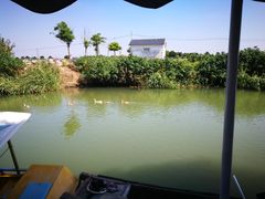 -乡乐园蟹庄·阳澄湖农家乐