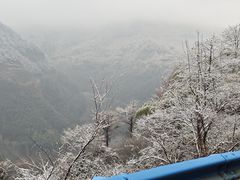 -四明山国家森林公园