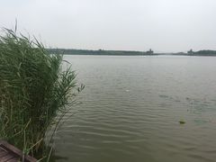 -西青郊野公园