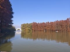 -上海海湾国家森林公园