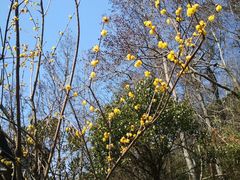 -东钱湖小普陀景区