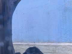 -多彩贵州城极地海洋世界