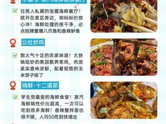 -日照海滨国家森林公园