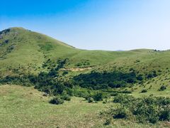 -大姆山草场