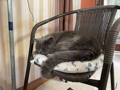 -Rabbit Cafe私房西餐甜点咖啡(栖霞路店)