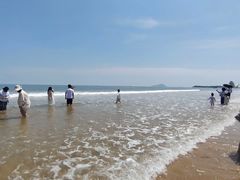-日照海滨国家森林公园
