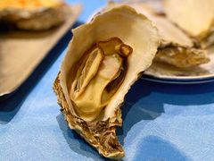 -千岛蚝高压锅生蚝·人参火锅(白云万达店)