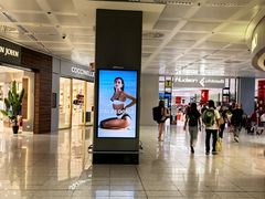 -米兰马尔彭萨国际机场