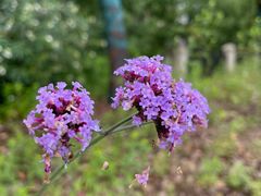 -苏州吴中太湖旅游区