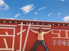 -羊卓雍措